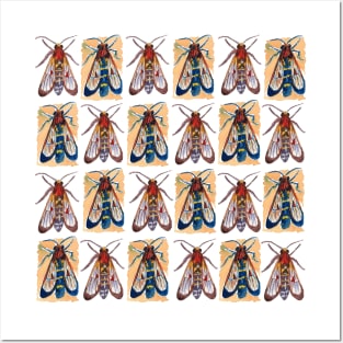 Wasp Moth Watercolor Grid Posters and Art